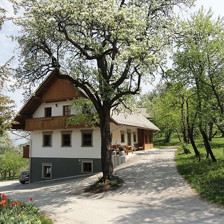 Farm Stay Dolinar Krainer Bohinjska Bela Exterior photo