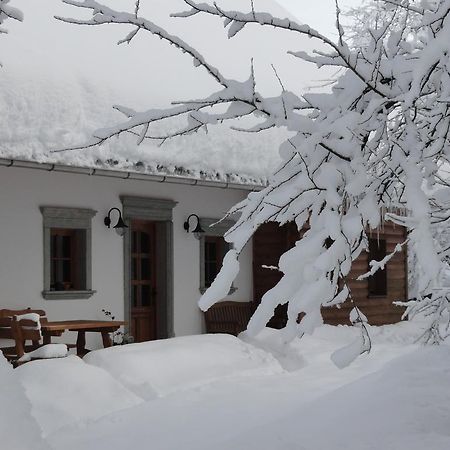Farm Stay Dolinar Krainer Bohinjska Bela Exterior photo