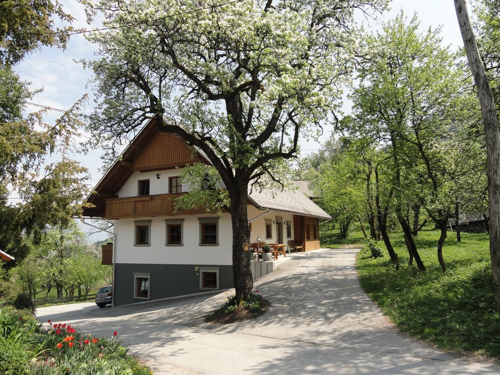 Farm Stay Dolinar Krainer Bohinjska Bela Exterior photo